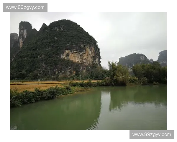 《从LOL富二代到电竞明星他们如何突破家庭束缚书写个人传奇》