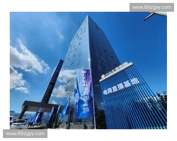 河北直播行业蓬勃发展助力地方经济创新与文化传播新机遇